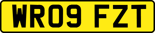 WR09FZT