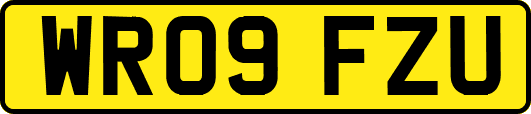 WR09FZU