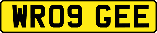 WR09GEE