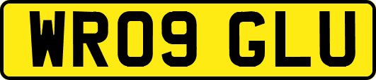 WR09GLU