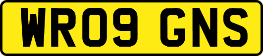WR09GNS