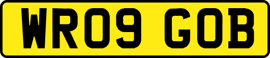 WR09GOB