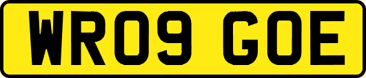 WR09GOE