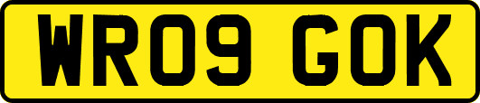 WR09GOK