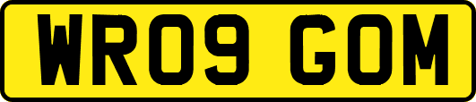 WR09GOM