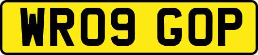 WR09GOP