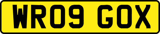 WR09GOX