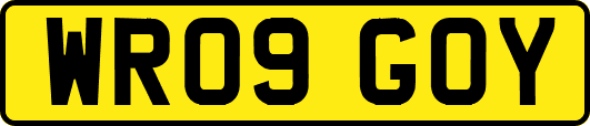 WR09GOY