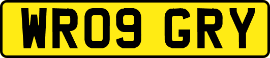 WR09GRY