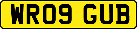 WR09GUB