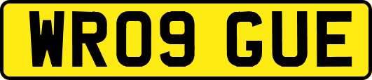 WR09GUE