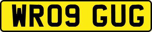 WR09GUG