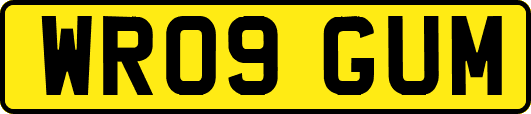 WR09GUM