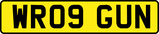WR09GUN