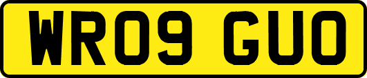 WR09GUO