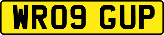 WR09GUP