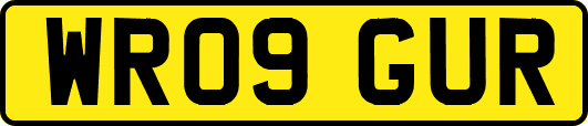 WR09GUR