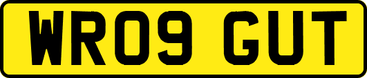 WR09GUT