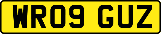 WR09GUZ