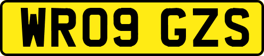 WR09GZS