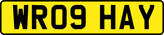 WR09HAY