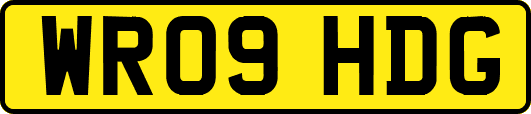 WR09HDG