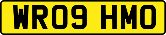 WR09HMO