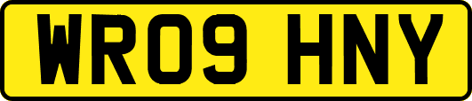 WR09HNY