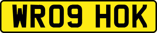 WR09HOK