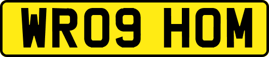 WR09HOM