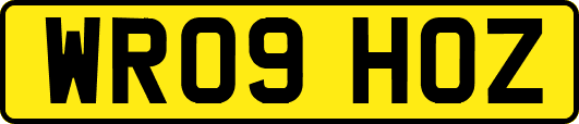 WR09HOZ