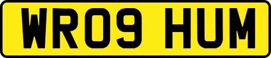 WR09HUM