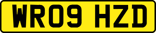 WR09HZD
