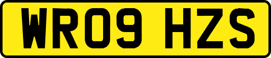 WR09HZS