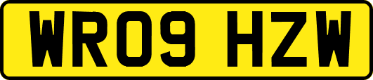 WR09HZW