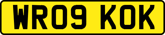 WR09KOK