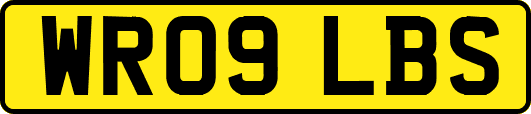 WR09LBS