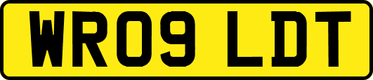 WR09LDT
