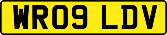 WR09LDV