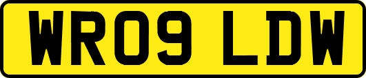 WR09LDW