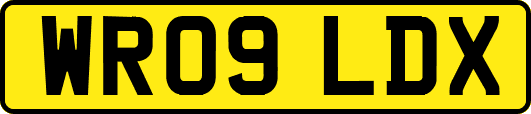 WR09LDX