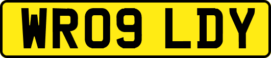 WR09LDY