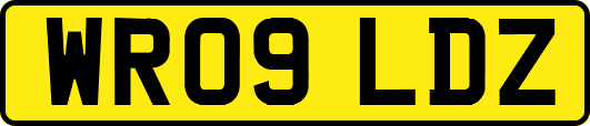 WR09LDZ