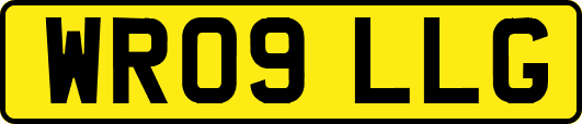 WR09LLG