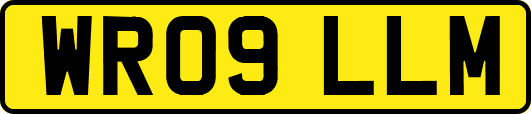 WR09LLM