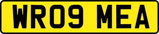 WR09MEA