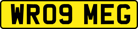 WR09MEG