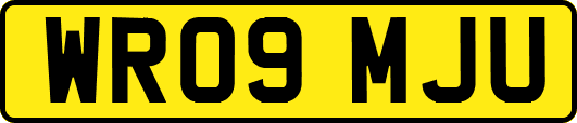 WR09MJU