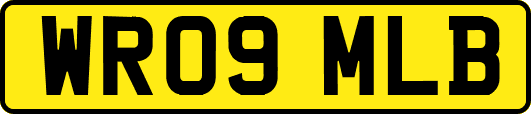 WR09MLB