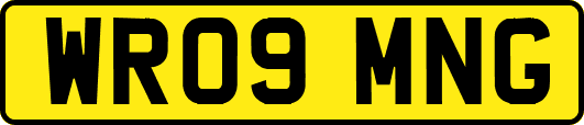 WR09MNG